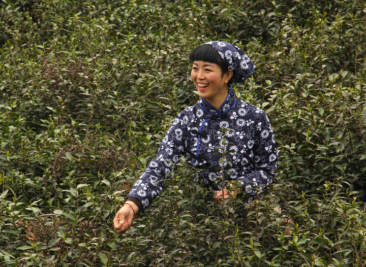 舂梦app banner2